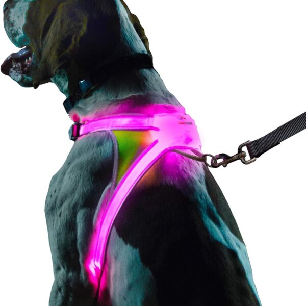 Noxgear LightHound  Revolutionary Illuminated and Reflective Harness for Dogs Including Multicolored LED Fiber Optics (USB Rechargeable, Adjustable, Lightweight, Rainproof) (Large)