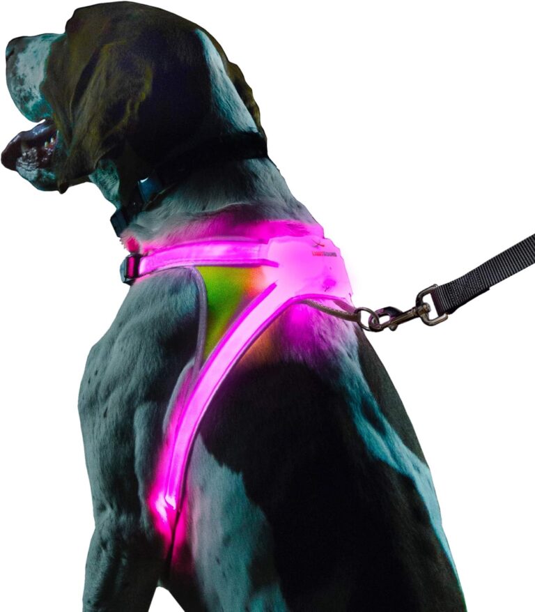 Noxgear LightHound  Revolutionary Illuminated and Reflective Harness for Dogs Including Multicolored LED Fiber Optics (USB Rechargeable, Adjustable, Lightweight, Rainproof) (Large)