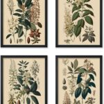 Poster Master 4-Piece Vintage Flower Poster - Retro Floral Print - Botanical Art - Chic Gift for Him, Her, Gardener, Florist - Perfect Wall Decor for Living Room, Flower Shop - 8x10 UNFRAMED Wall Art