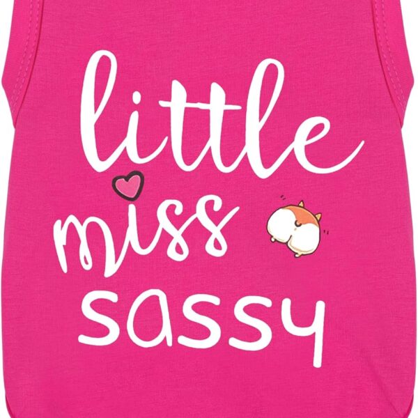 Paiaite Dog Clothes Fashionable Sleeveless Pet Vest: 'Little Miss Sassy' Printed Cotton Dog Shirt, Ideal for Small, Medium, and Large Breeds, Ensuring Comfort and Breathability Rose Red M