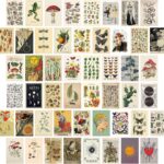 SAISHUO Wall Collage Kit,50 Pcs DIY Wall Decor Postard Paper with Traceless Adhesive Not Repeated Vintage Collection Posters Room Decor Aesthetic Pictures Cards 4 * 6 inch (Nature)