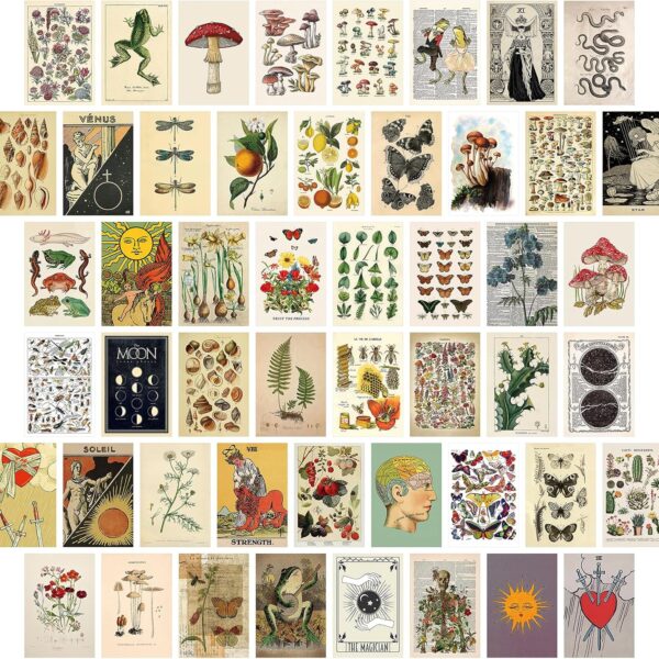 SAISHUO Wall Collage Kit,50 Pcs DIY Wall Decor Postard Paper with Traceless Adhesive Not Repeated Vintage Collection Posters Room Decor Aesthetic Pictures Cards 4 * 6 inch (Nature)
