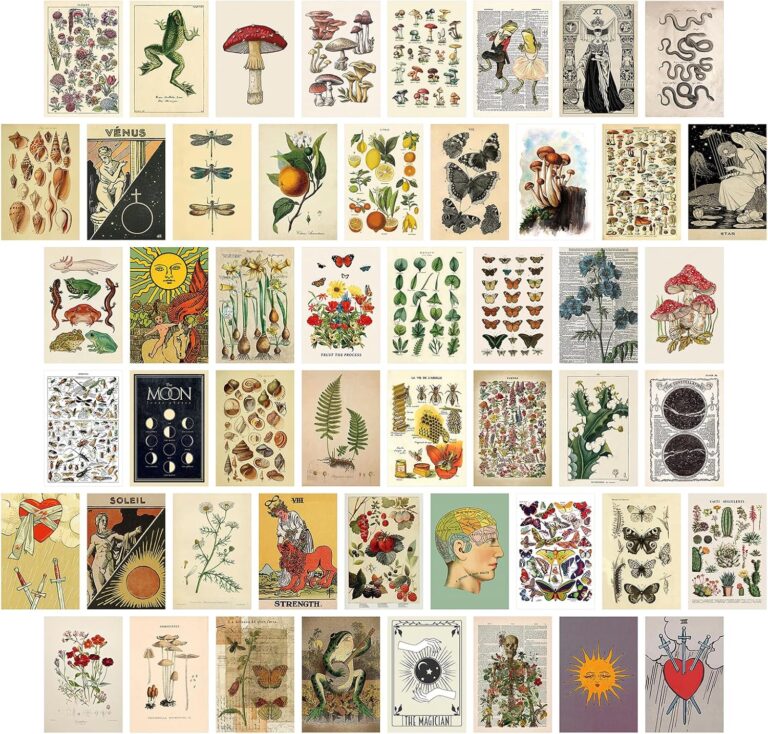 SAISHUO Wall Collage Kit,50 Pcs DIY Wall Decor Postard Paper with Traceless Adhesive Not Repeated Vintage Collection Posters Room Decor Aesthetic Pictures Cards 4 * 6 inch (Nature)