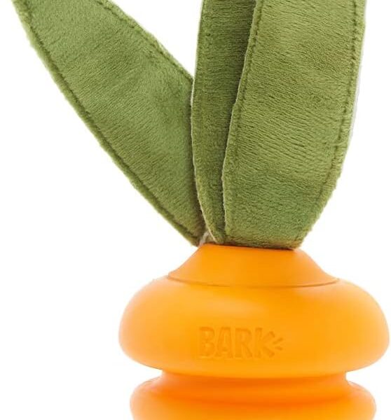 Barkbox Super Chewer Tough Dog Chew Toys for Aggressive Chewers, Treat Dispensing (Carrot - Small)