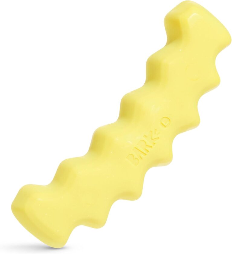 Barkbox Crinkle Fry Dog Toy for Large Dogs, Super Tough Nylon Construction for Aggressive Chewers and Designed for Durable Playtime | Super Tough Nylon Construction for Aggressive Chewers and Designed for Durable Playtime