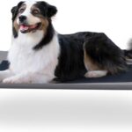K&H Outdoor Elevated Dog Bed - Cooling Raised Dog Bed for Medium & Large Pets, Breathable Mesh Center Hammock Design, Indoor/Outdoor Washable Cover, Portable Metal Frame, Gray, Large 42x30in