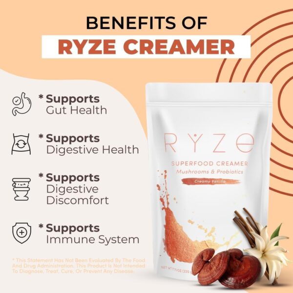 RYZE SUPERFOODS Rise n Shine Bundle, USDA Organic Mushroom Medium Roast Coffee + Probiotic Creamer with 6 Adaptogenic Mushrooms for Energy, Focus, Digestion, Immunity, 30 + 30 Servings