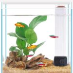 Pronetcus Betta Fish Tank, 2 Gallon Glass Aquarium Starter Kit, Small Fish Tank with Filter and Light.(White)