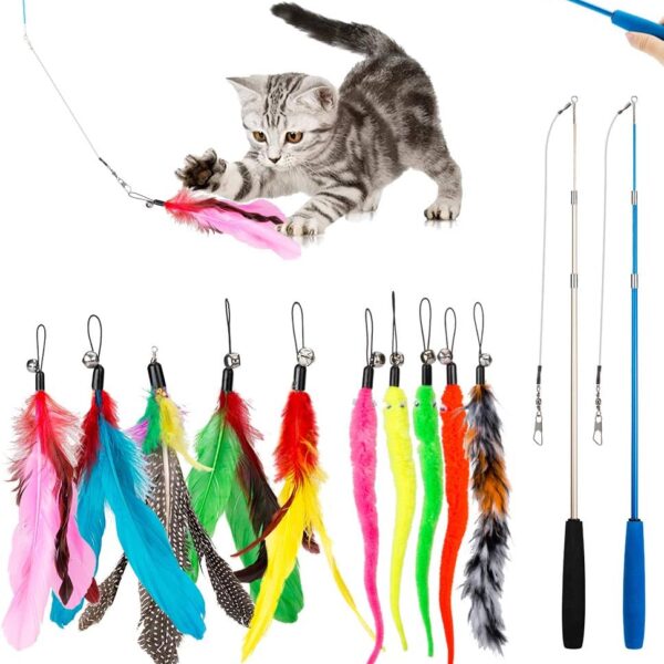JIARON Cat Toys Interactive Feather Toy, 2PCS Retractable Wand and 10PCS Replacement Teaser with Bell Refills, Interactive Catcher and Funny Exercise for Kitten.
