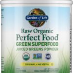 Garden of Life Raw Organic Perfect Food Superfood Juiced Greens Powder, Original Stevia-Free, Dietary Supplement, 30 Servings
