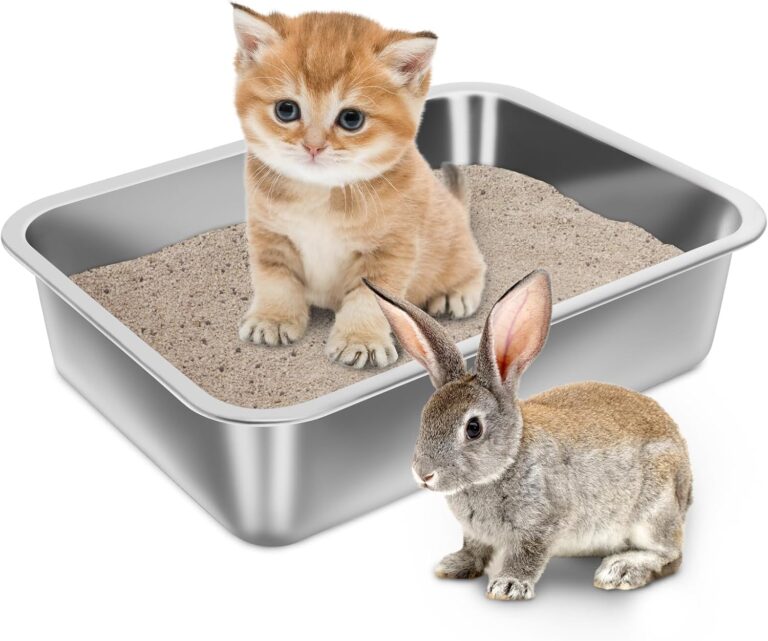 Stainless Steel Litter Box for Kitten, 15.7"11.8"4" Small Litter Box for Kittens Easy Entry, Non Odor, Easy to Clean, Metal Litterbox for Cat, Rabbit, Guinea Pigs and Hamsters | 15.7"11.8"4", Easy Entry, Non Odor, Easy to Clean, Litter Box for Cat, Rabbit