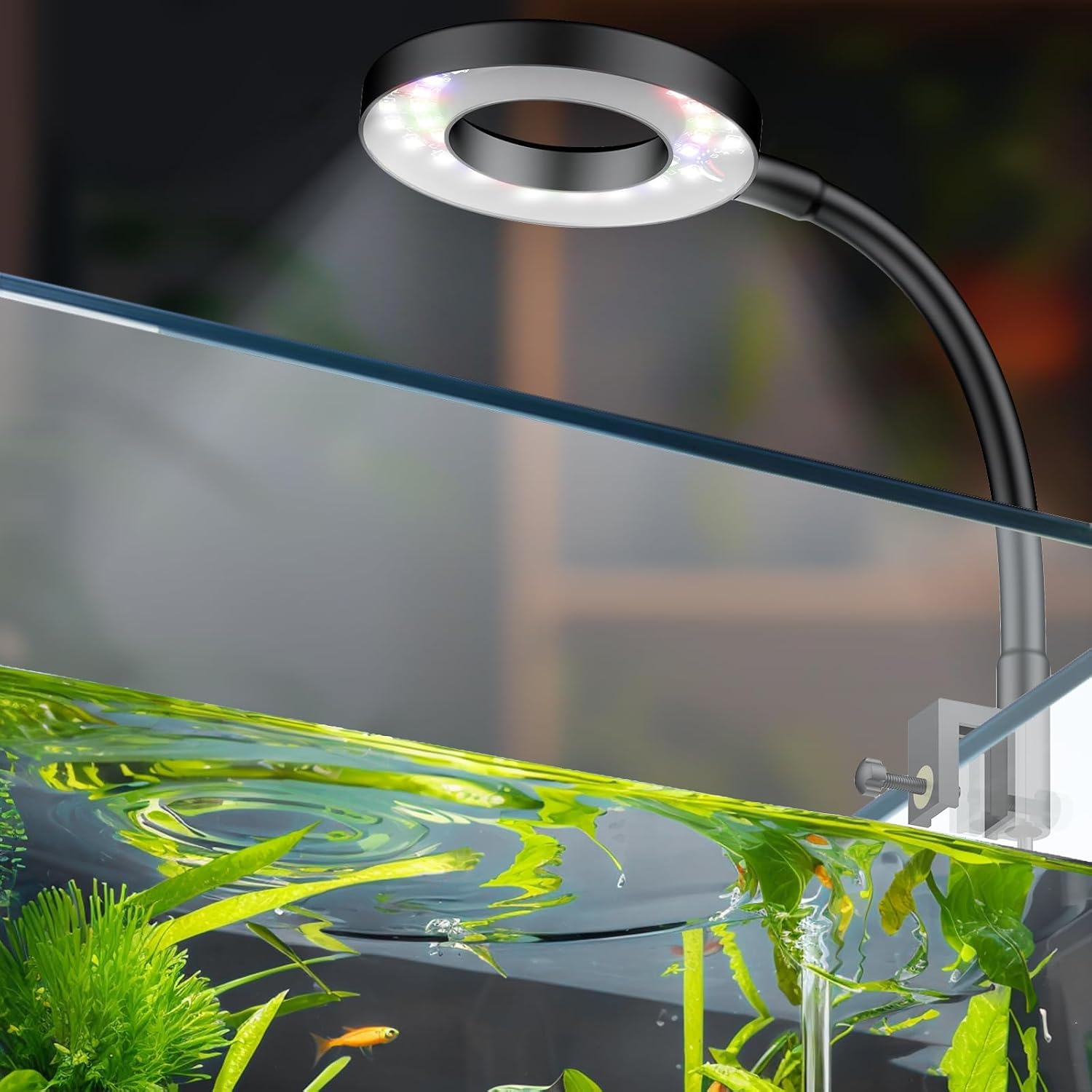 Pawfly 6 W LED Aquarium Light for 1 to 5 Gallon Fish Tanks Clip On Fish Tank Light USB Moving Aquarium Lamp with Full Spectrum Dimmable White Blue Red Green Lights with Timer (Adapter Not Included) Pawfly 6 W LED Aquarium Light for 1 to 5 Gallon Fish Tanks Clip On Fish Tank Light USB Moving Aquarium Lamp with Full Spectrum Dimmable White Blue Red Green Lights with Timer (Adapter Not Included)