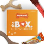 Nylabone Dog Gift Box, Includes 3 Strong Chew Toys and 1 Natural Treat, Gifts for Dogs, Large - Up to 50 lbs, 4 Pack