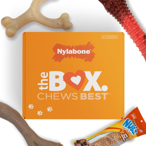 Nylabone Dog Gift Box, Includes 3 Strong Chew Toys and 1 Natural Treat, Gifts for Dogs, Large - Up to 50 lbs, 4 Pack
