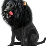 Onmygogo Lion Mane Wig for Dogs with Ears, Funny Pet Costumes for Halloween Christmas
