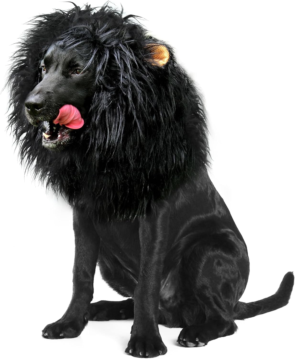 Onmygogo Lion Mane Wig for Dogs with Ears, Funny Pet Costumes for Halloween Christmas Onmygogo Lion Mane Wig for Dogs with Ears, Funny Pet Costumes for Halloween Christmas