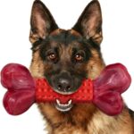Tough Dog Toys for Aggressive Chewers: Beef Flavored Long Lasting Dog Bones for Large Dogs, Indestructible Dog Chew Toys to Keep Them Busy, Large Dog Toys for Medium & Large Breed, Red