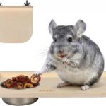 YKD Natural Wood Chinchilla Platform Set with Feeding Bowl | Small Animals Cage Accessories for Chinchillas, Squirrels, Gerbils, Sugar Gliders, Hamsters, Mice, Rats, Parrots