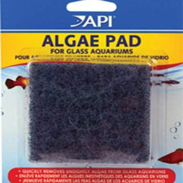 API HAND HELD ALGAE PAD For Glass Aquariums 1-Count Container