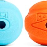 Chuckit! The Whistler Ball Dog Toy, Medium (2.5 Inch Diameter) for Dogs 20-60 lbs, Pack of 2, Multicolor