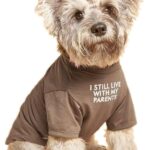 Cute Dog Clothes,Dog T Shirt for Medium and Small Girl Boy Puppy.Breathable Soft Pet Costume for Pet Cats,Pet Pullover Jumper,Cat Clothes (M-(7~11lb), Chest~16", Khaki)