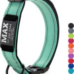 Updated - Personalized Dog Collars and Engraved Nameplate ID Tag, Reflective Nylon Dog Collar, Customizable in 11 Colors, 4 Adjustable Sizes, 16 Fonts, Dog Collar for Large, Small, Medium Dogs - Teal