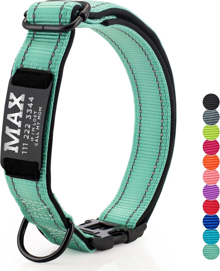 Updated - Personalized Dog Collars and Engraved Nameplate ID Tag, Reflective Nylon Dog Collar, Customizable in 11 Colors, 4 Adjustable Sizes, 16 Fonts, Dog Collar for Large, Small, Medium Dogs - Teal