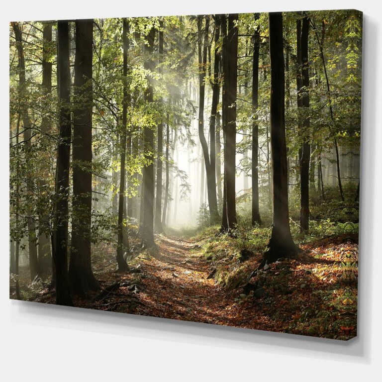 Green Fall Forest with Sun Rays - Landscape Photography Canvas Print, Country Charm, Wall Art to Decorate Your Living Room and Bedroom, Green, Made Of Wood & Cotton Material- Large Sizes