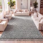 JONATHAN Y Mercer Shag Plush Tassel Charcoal Indoor Area Rug, 4x6, Contemporary, Modern, Easy-Cleaning for Living Room, Bedroom, Kitchen, Pet Friendly, Non-Shedding (MCR100B-4)